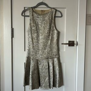 Alice + Olivia Mini Dress. Silver Crepe Material with Black Highlights. Size M.